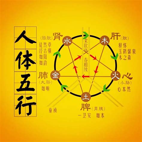 智的五行|智的五行